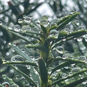 Meet your Posher, Margaret